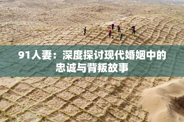 91人妻：深度探讨现代婚姻中的忠诚与背叛故事