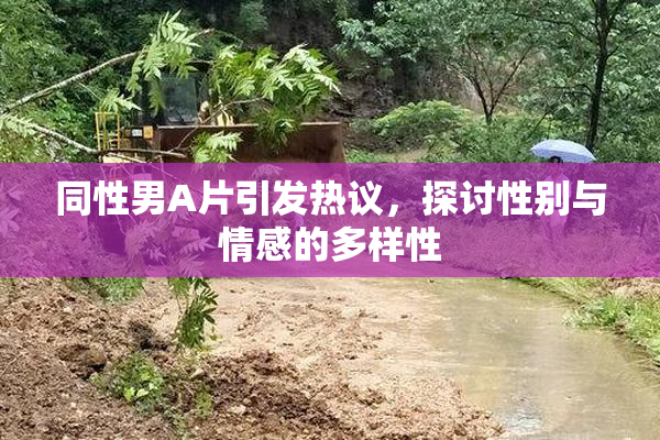 同性男A片引发热议，探讨性别与情感的多样性