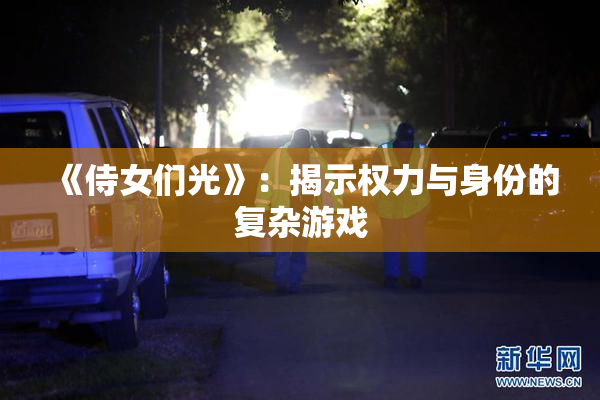 《侍女们光》：揭示权力与身份的复杂游戏