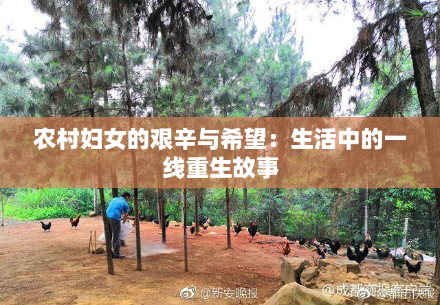 农村妇女的艰辛与希望：生活中的一线重生故事