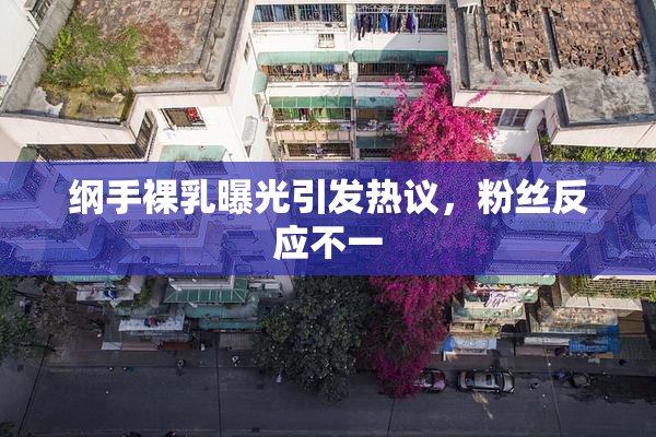 纲手裸乳曝光引发热议，粉丝反应不一