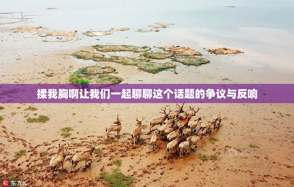 揉我胸啊让我们一起聊聊这个话题的争议与反响