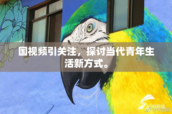 国视频引关注，探讨当代青年生活新方式。