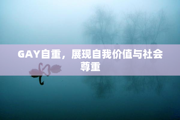 GAY自重，展现自我价值与社会尊重