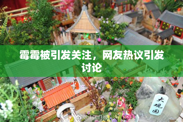 霉霉被引发关注，网友热议引发讨论