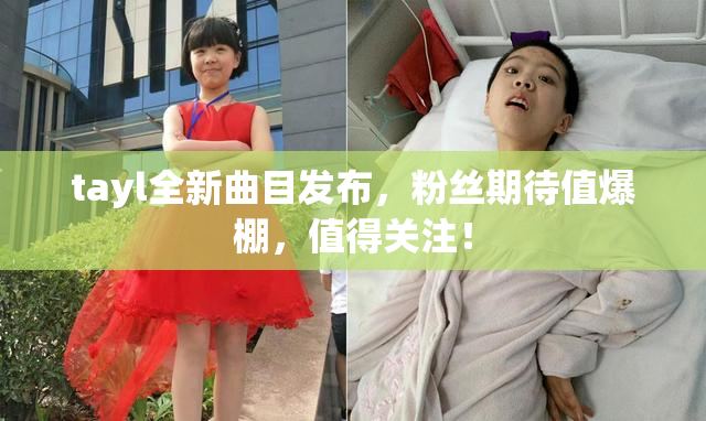 tayl全新曲目发布，粉丝期待值爆棚，值得关注！