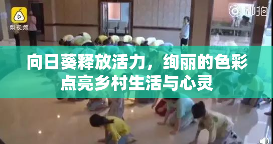 向日葵释放活力，绚丽的色彩点亮乡村生活与心灵