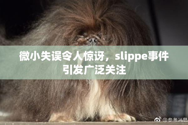 微小失误令人惊讶，slippe事件引发广泛关注