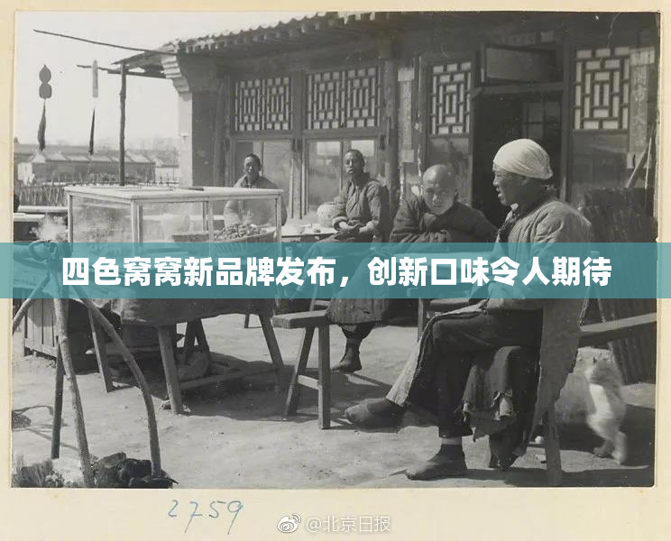 四色窝窝新品牌发布，创新口味令人期待