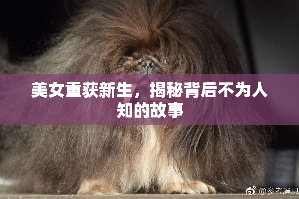 美女重获新生，揭秘背后不为人知的故事