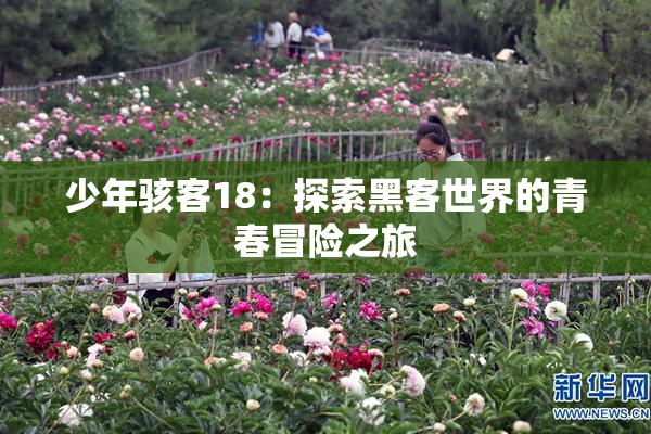 少年骇客18：探索黑客世界的青春冒险之旅