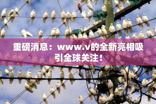 重磅消息：www.v的全新亮相吸引全球关注！