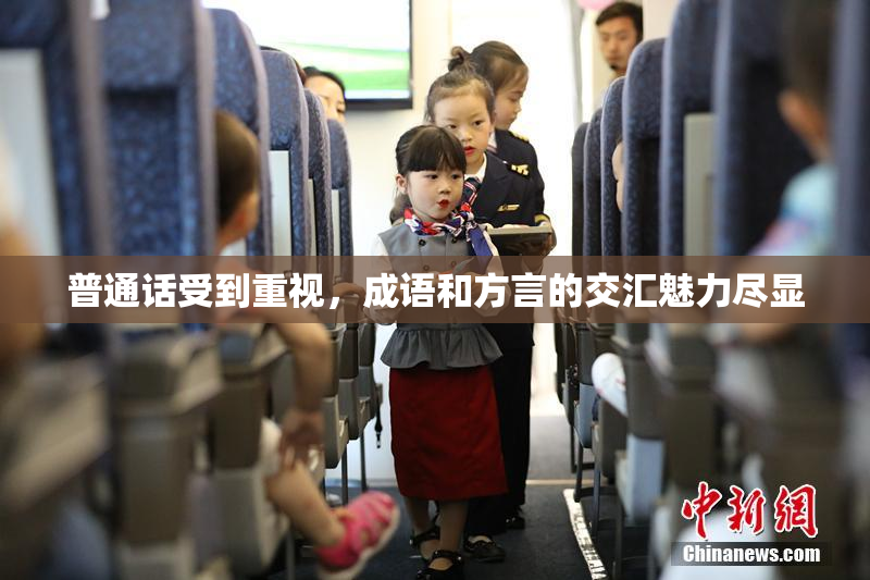 普通话受到重视，成语和方言的交汇魅力尽显
