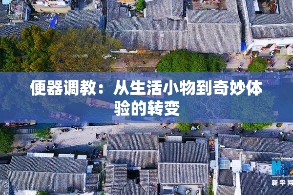 便器调教：从生活小物到奇妙体验的转变