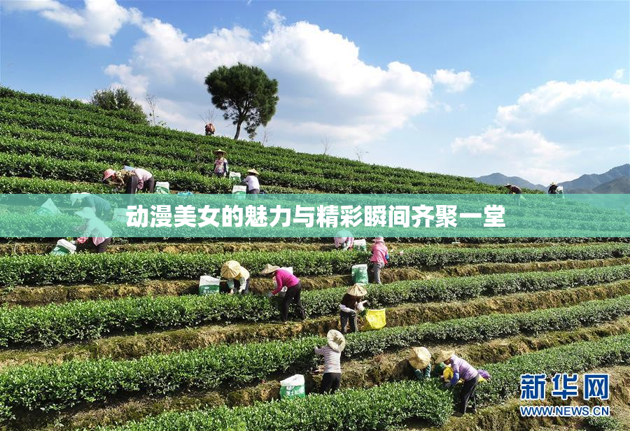 动漫美女的魅力与精彩瞬间齐聚一堂