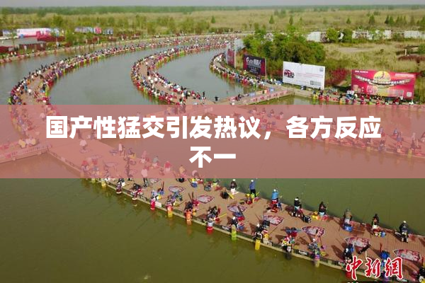 国产性猛交引发热议，各方反应不一
