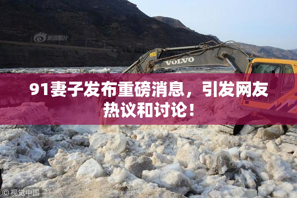91妻子发布重磅消息，引发网友热议和讨论！
