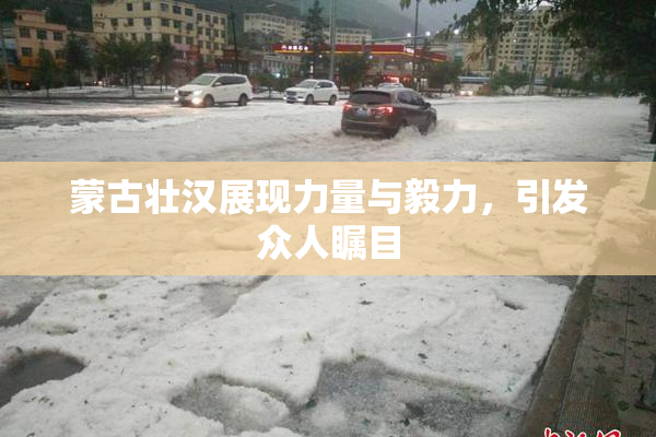蒙古壮汉展现力量与毅力，引发众人瞩目