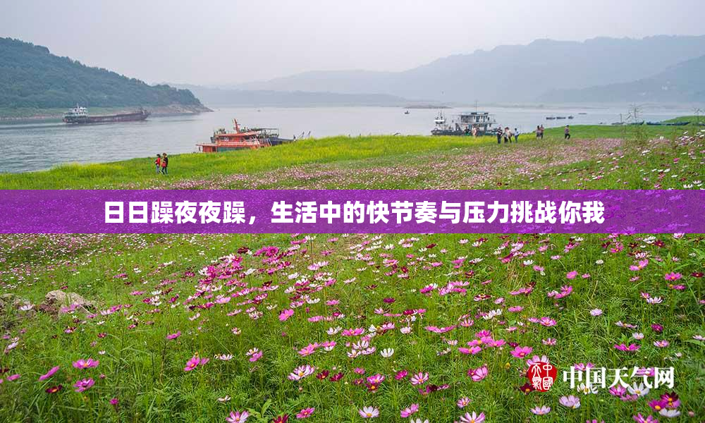 日日躁夜夜躁，生活中的快节奏与压力挑战你我