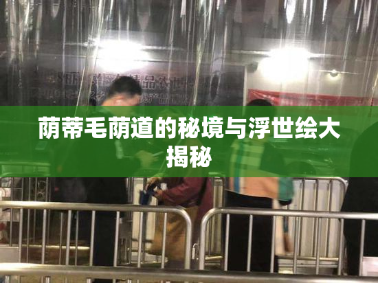 荫蒂毛荫道的秘境与浮世绘大揭秘