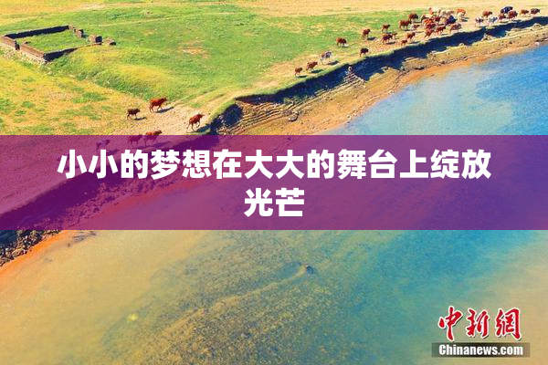 小小的梦想在大大的舞台上绽放光芒