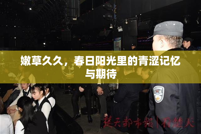 嫩草久久，春日阳光里的青涩记忆与期待