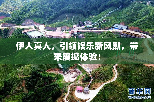 伊人真人，引领娱乐新风潮，带来震撼体验！