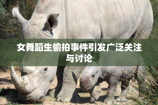 女舞蹈生偷拍事件引发广泛关注与讨论