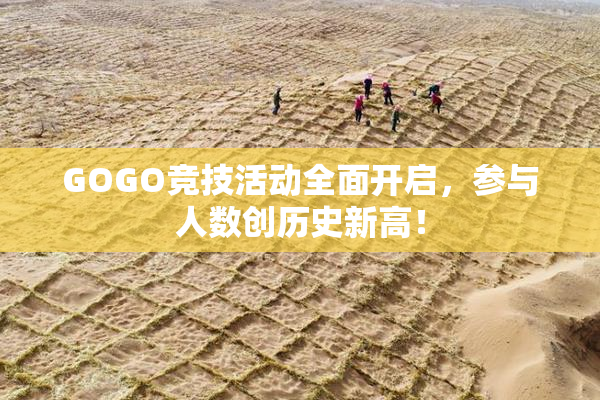 GOGO竞技活动全面开启，参与人数创历史新高！