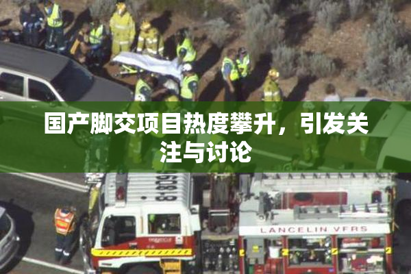 国产脚交项目热度攀升，引发关注与讨论