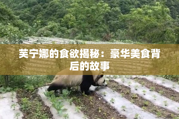 芙宁娜的食欲揭秘：豪华美食背后的故事