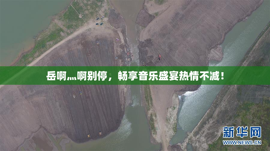 岳啊灬啊别停，畅享音乐盛宴热情不减！