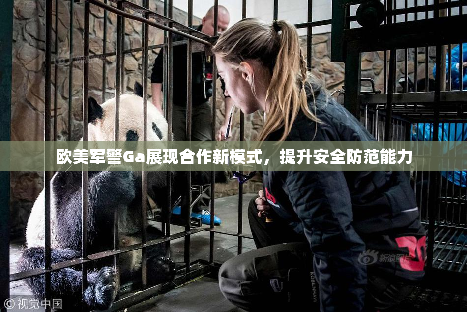欧美军警Ga展现合作新模式，提升安全防范能力