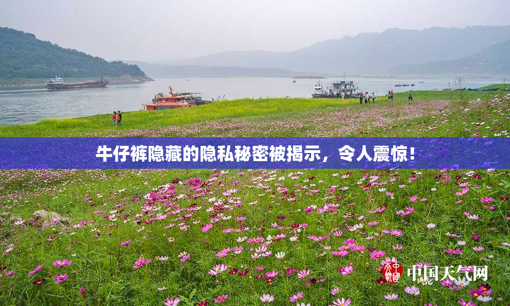 牛仔裤隐藏的隐私秘密被揭示，令人震惊！