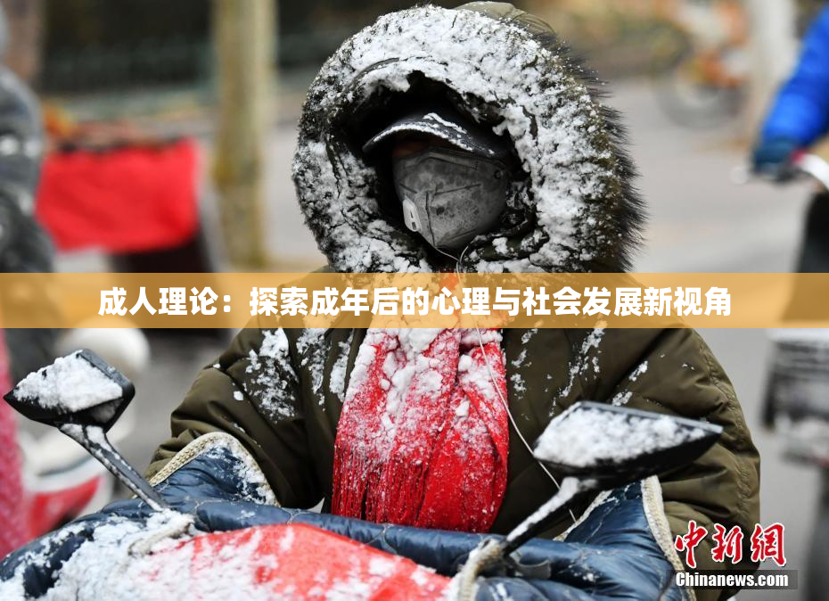 成人理论：探索成年后的心理与社会发展新视角
