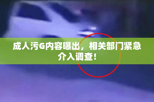 成人污G内容曝出，相关部门紧急介入调查！