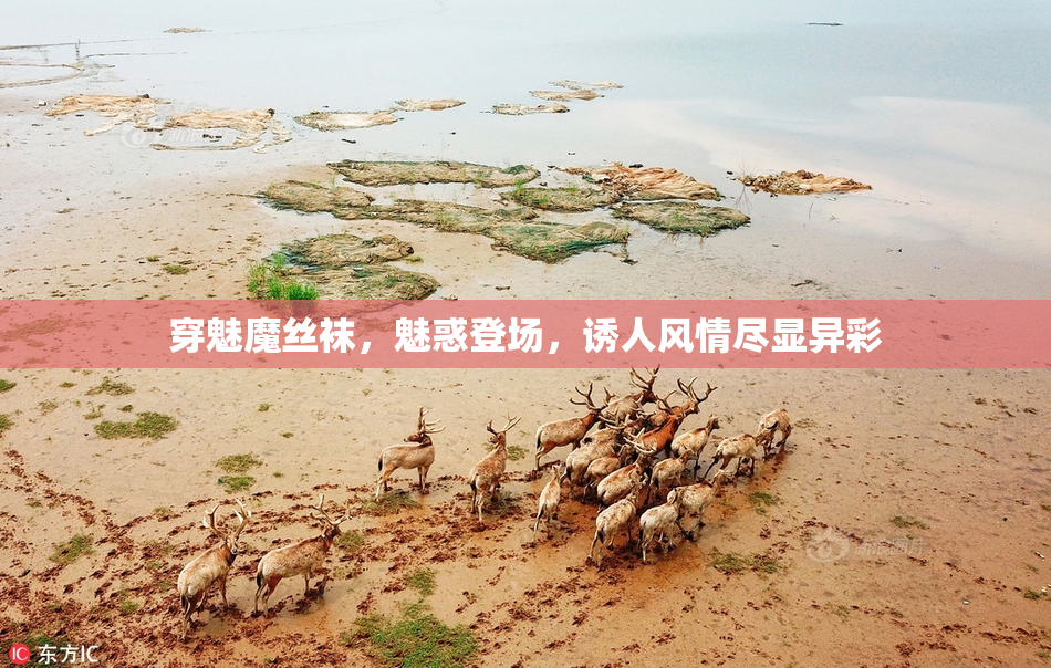 穿魅魔丝袜，魅惑登场，诱人风情尽显异彩