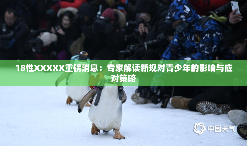 18性XXXXX重磅消息：专家解读新规对青少年的影响与应对策略
