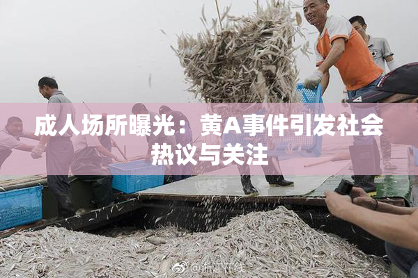 成人场所曝光：黄A事件引发社会热议与关注