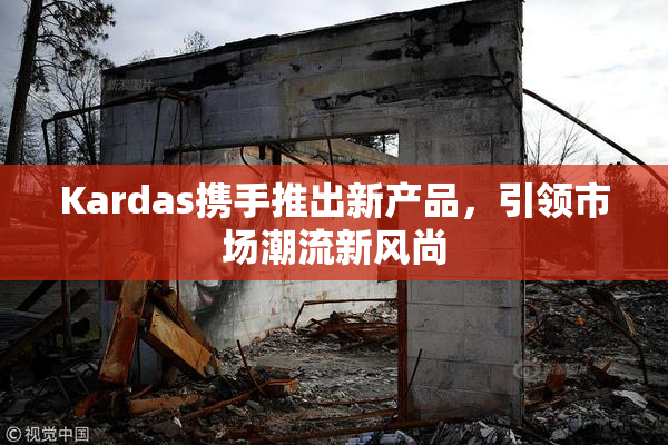 Kardas携手推出新产品，引领市场潮流新风尚
