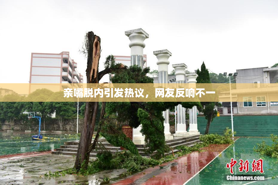 亲嘴脱内引发热议，网友反响不一