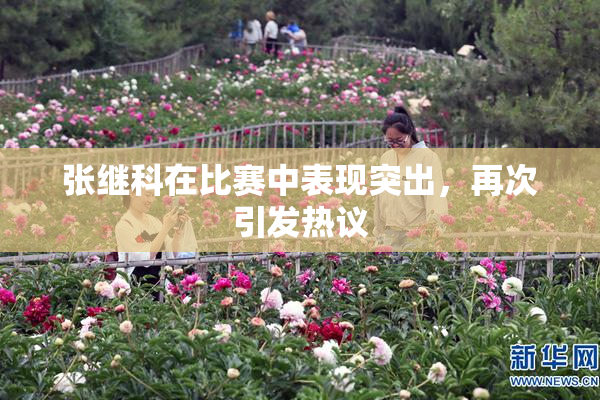 张继科在比赛中表现突出，再次引发热议