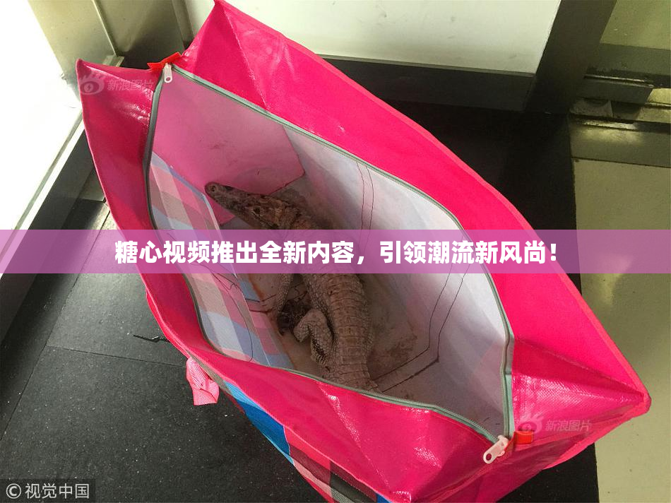 糖心视频推出全新内容，引领潮流新风尚！