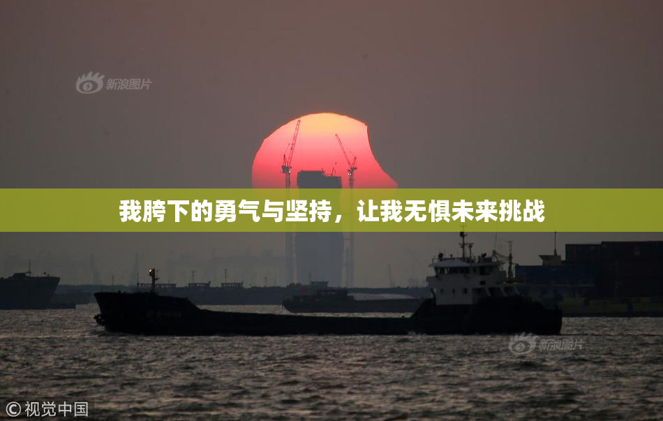 我胯下的勇气与坚持，让我无惧未来挑战