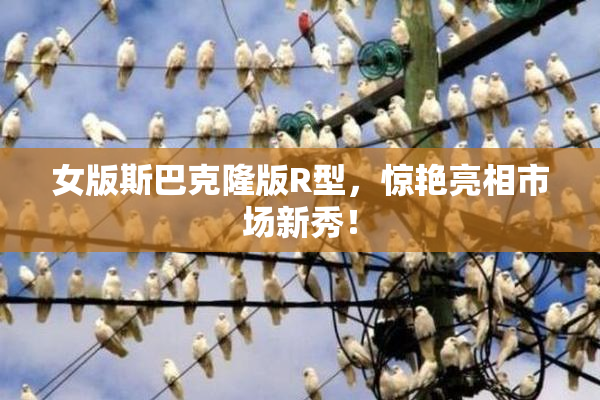 女版斯巴克隆版R型，惊艳亮相市场新秀！