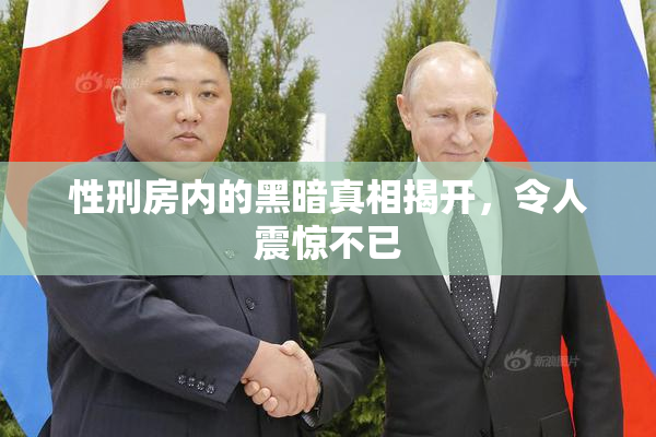 性刑房内的黑暗真相揭开，令人震惊不已