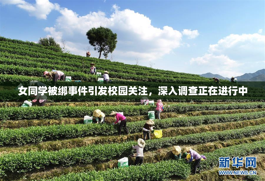 女同学被绑事件引发校园关注，深入调查正在进行中