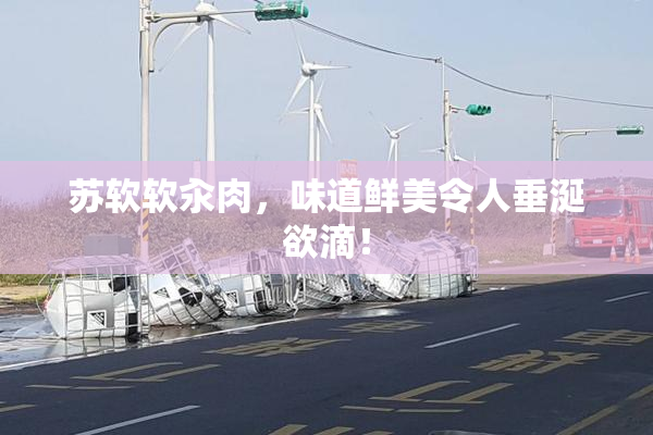 苏软软汆肉，味道鲜美令人垂涎欲滴！