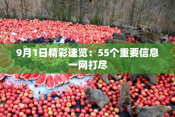 9月1日精彩速览：55个重要信息一网打尽