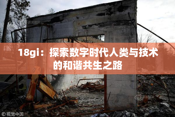 18gi：探索数字时代人类与技术的和谐共生之路